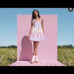 Love shack fancy x target dress